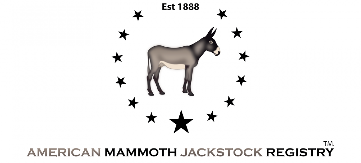 Registry American Mammoth Jackstock Association