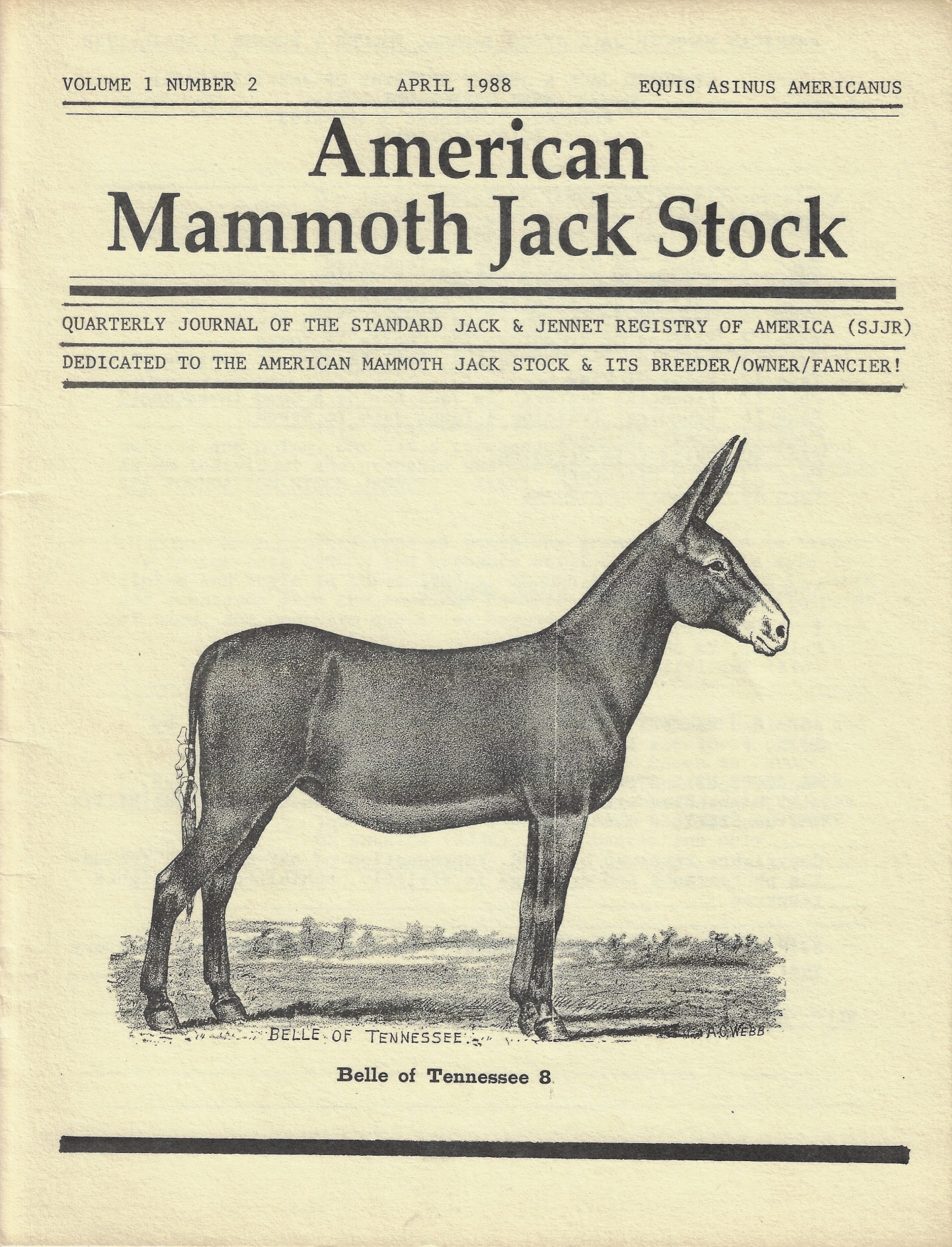 Journals American Mammoth Jackstock Association